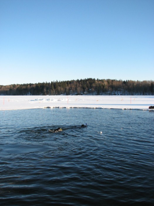 A public ice hole kept in a ice for ice wimming.