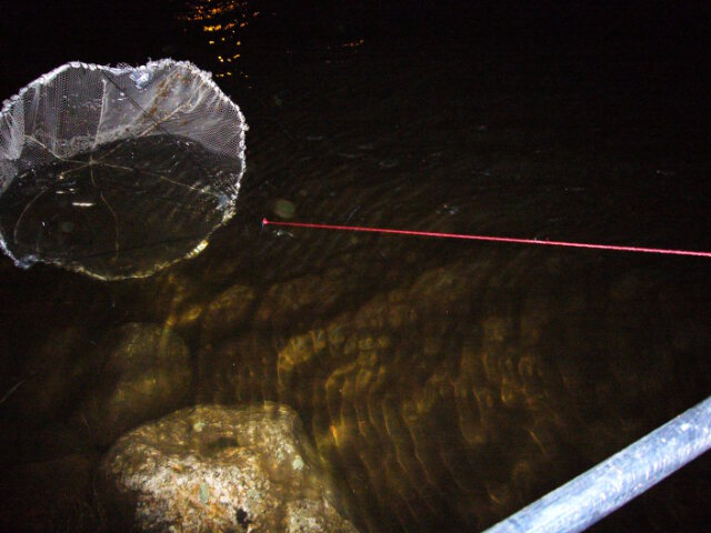 This is how smelts are dipped from the rapid. After the net is threw, it is pulled along the stream. Smelts swimming upwards meet a dead end and they are captured by this "bag".