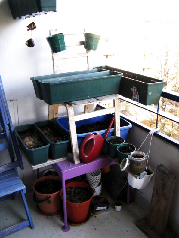 An image of my summer balcony where I try to grow chives, dill and parsley mostly.