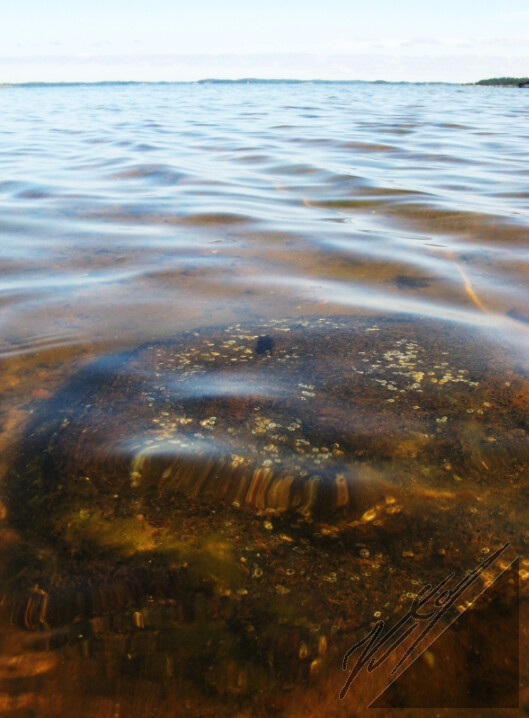 A underwater rock in Archipelago Sea. Vedenalainen kivi Saaristomerellä.