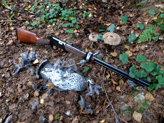 Hazel grouse catch and the winchester rifle .22 mag WMR lever action