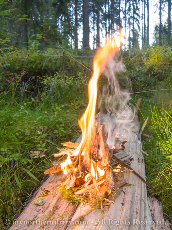 Coffee-kettle-over-camp-fire-in-spruce-forest-CRW_3575.jpg