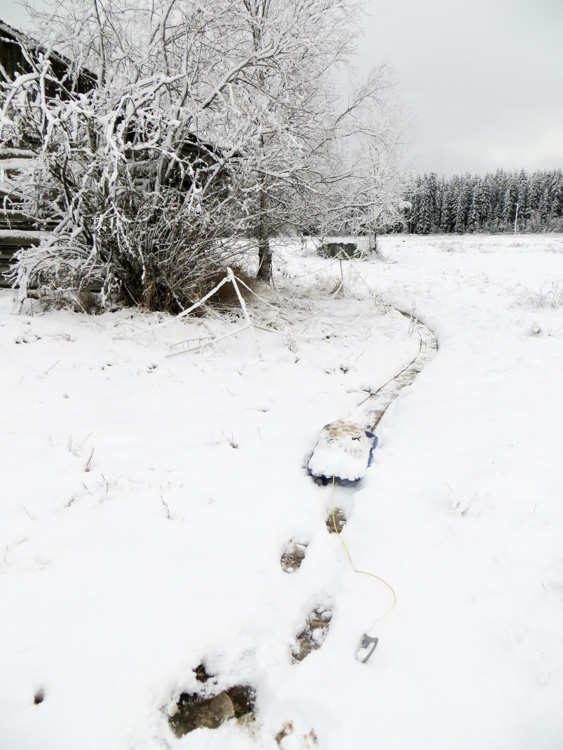 Dragging-heavy-sledge-to-make-snow-trails-for-hare-hunting-IMG_4628.jpg