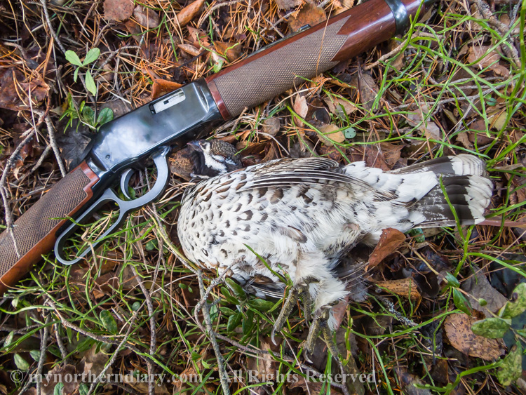 Hazel-grouse-catch-and-Winchester-lever-action-rifle-WMR-CRW_4538.jpg