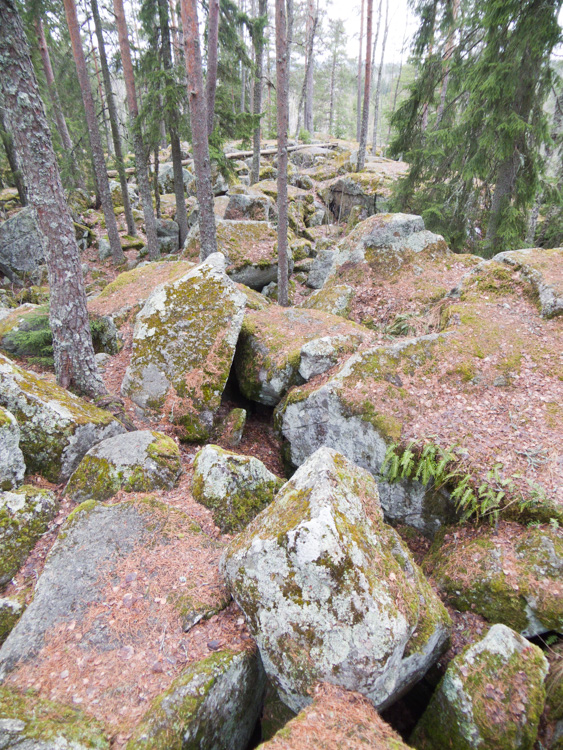 Hiking-trip-in-boreal-forest-during-spring-CRW_4823.jpg