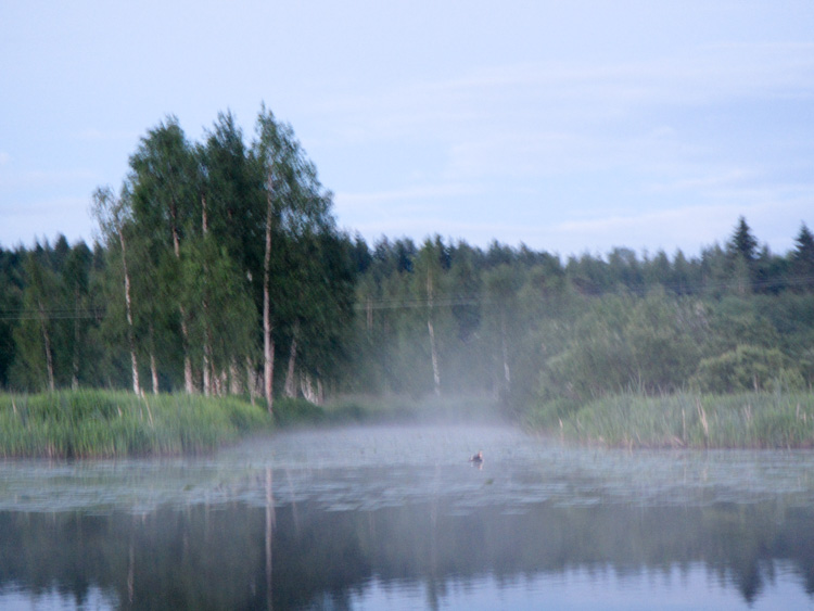 Mysterious-mist-floating-on-a-lake-during-night-IMG_0733.jpg