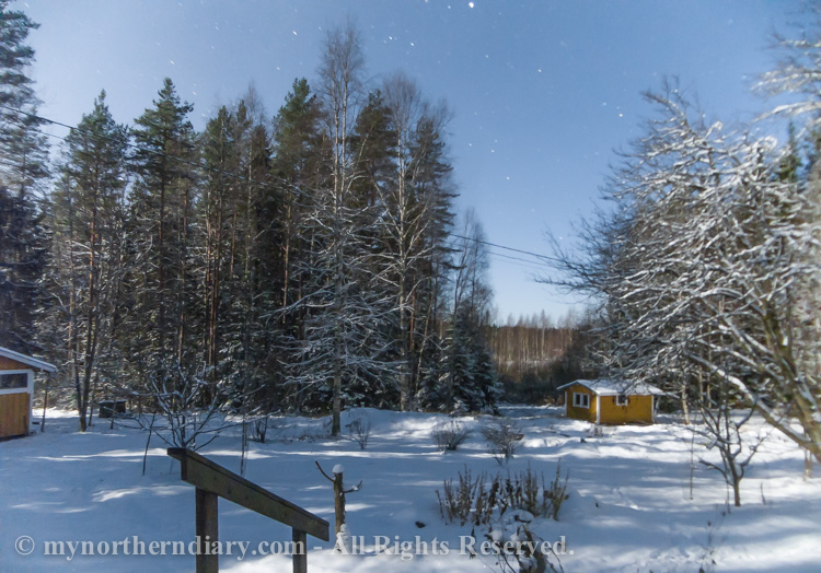 Nocturnal-images-of-log-houses-in-middle-of-cold-and-snowy-northern-forest-under-moon-light-CRW_5822.jpg