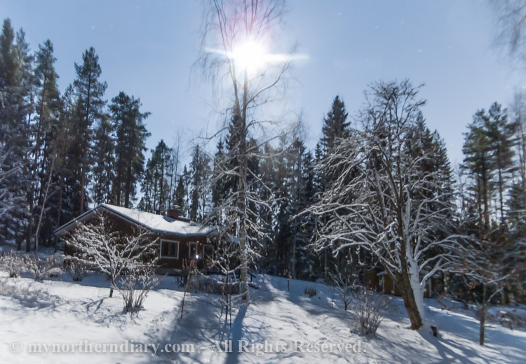 Nocturnal-images-of-log-houses-in-middle-of-cold-and-snowy-northern-forest-under-moon-light-CRW_5823.jpg