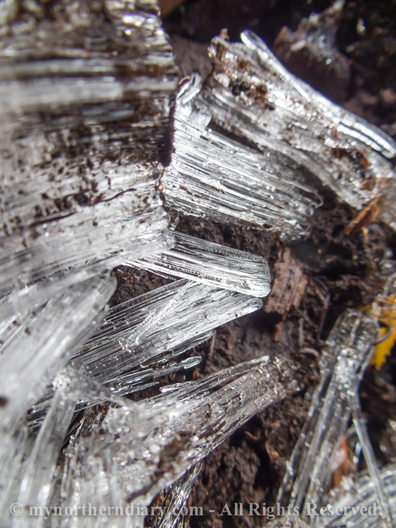 Pillar-like-ice-crystals-in-frozen-ground-CRW_4564.jpg