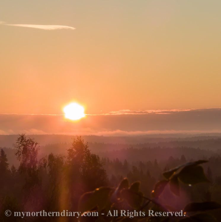 Pink-morning-light-on-Finnish-forest-CRW_4275.jpg