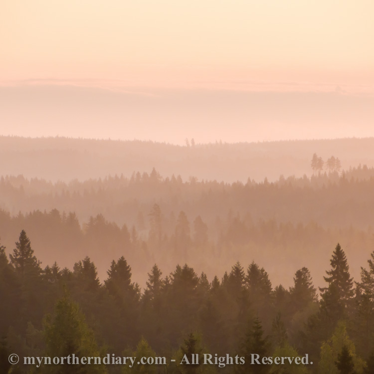 Pink-morning-light-on-Finnish-forest-CRW_4277.jpg
