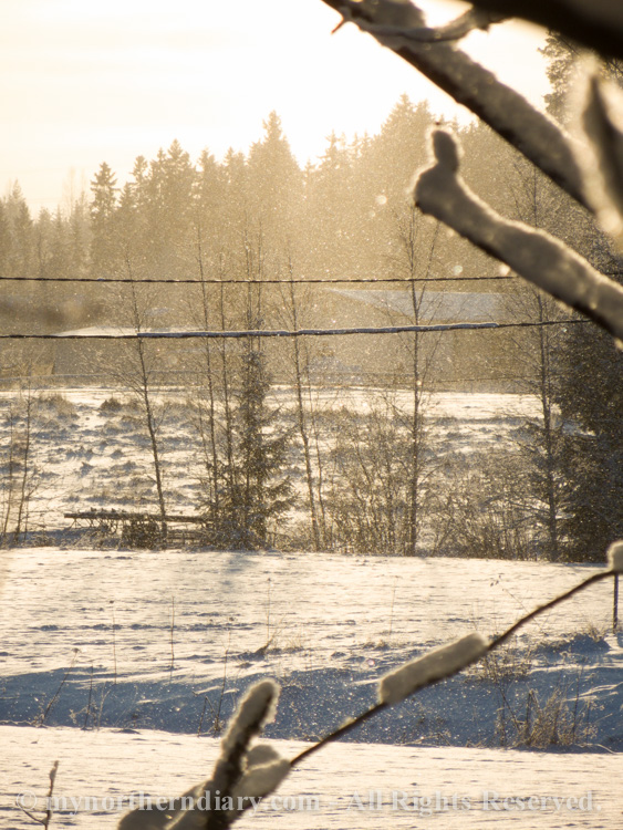 Snowy-and-white-countryside-CRW_4703.jpg