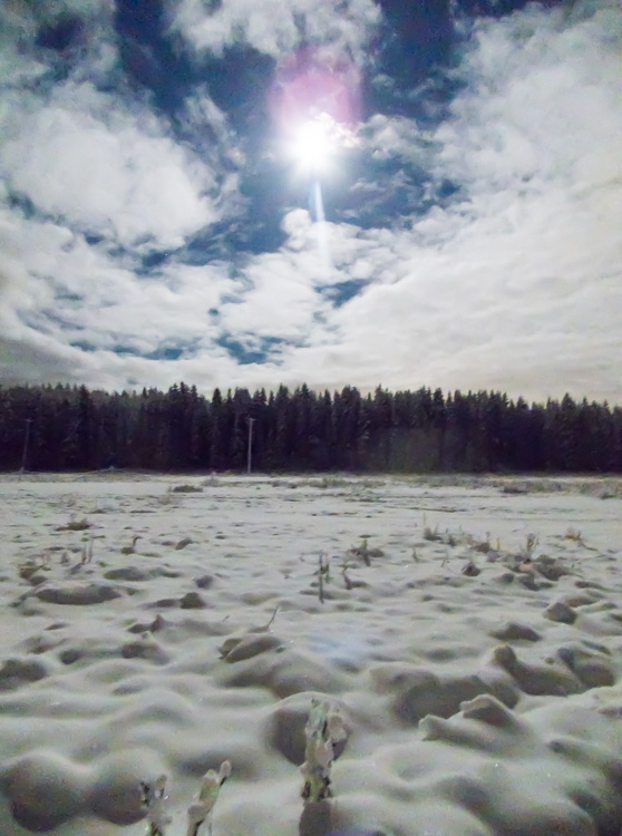 Snowy-night-in-field-CRW_4656.jpg