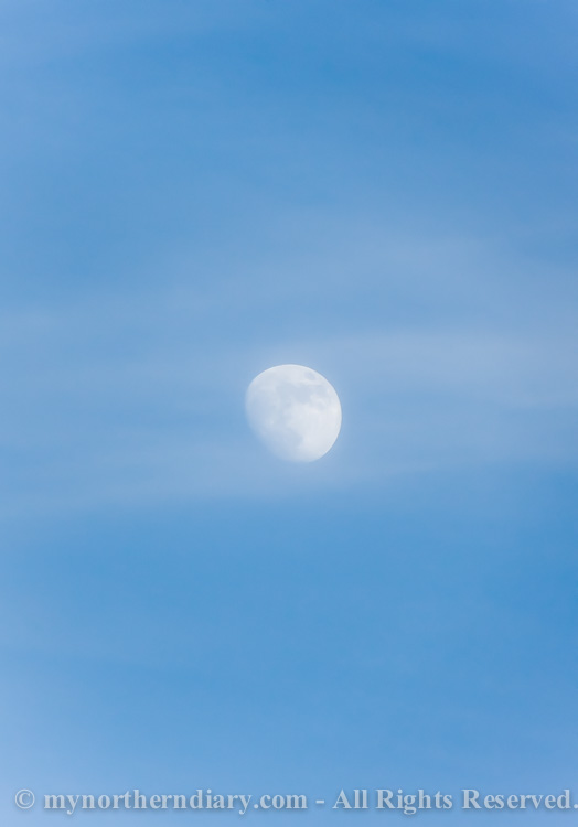Spring-moon-in-a-blue-sky-CRW_2064.jpg