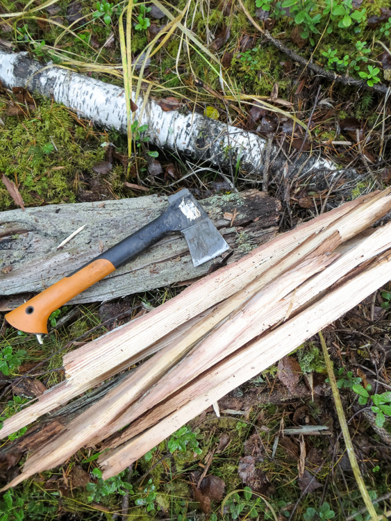 Tarry-stump-cut-with-axe-for-making-camp-fire-IMG_4415.jpg
