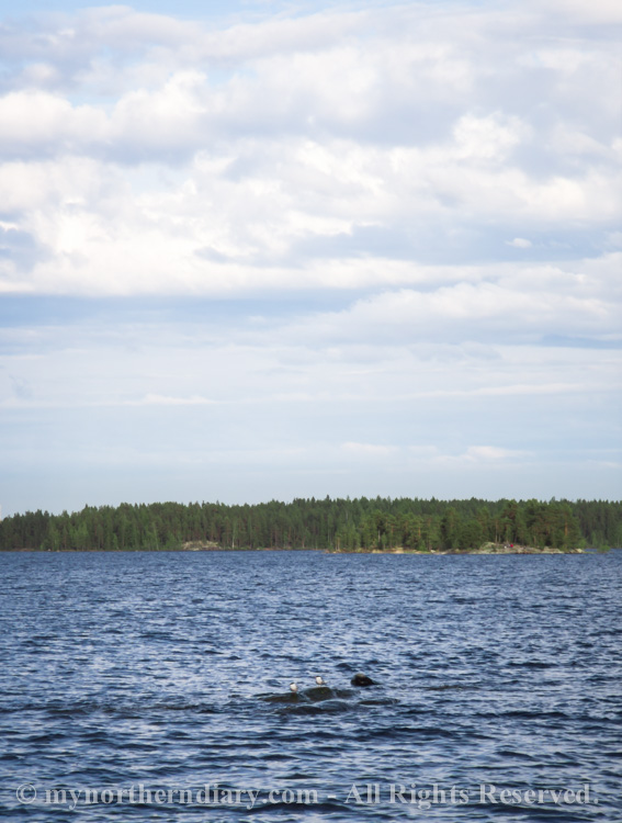 beautiful-sights-over-finnish-lake-CRW_0590.jpg