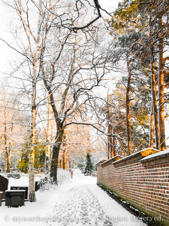 luminen hautausmaa, snowy graveyard_CRW_0581