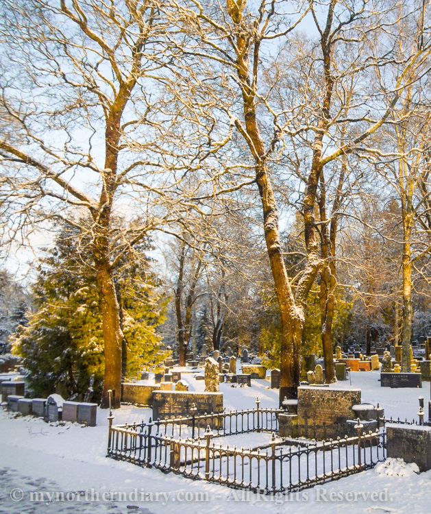 luminen hautausmaa, snowy graveyard_CRW_0583