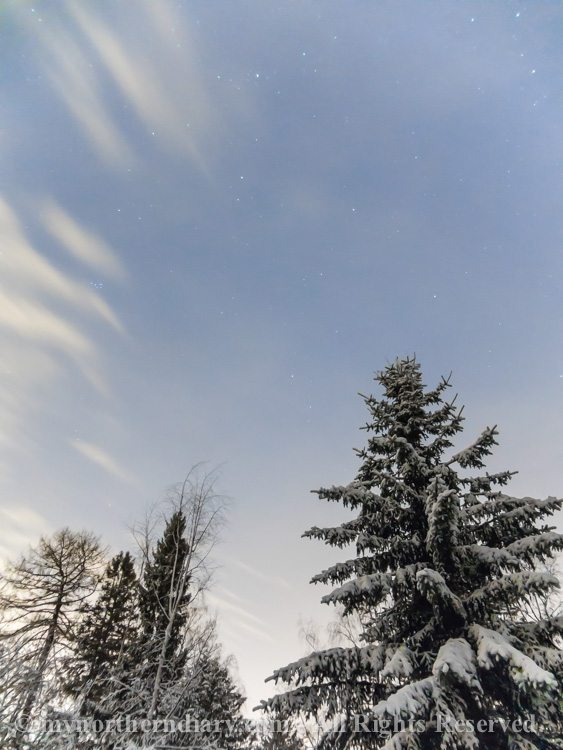 lumisia kuusia, snowy spruce, star sky, tahtitaivas_CRW_0718