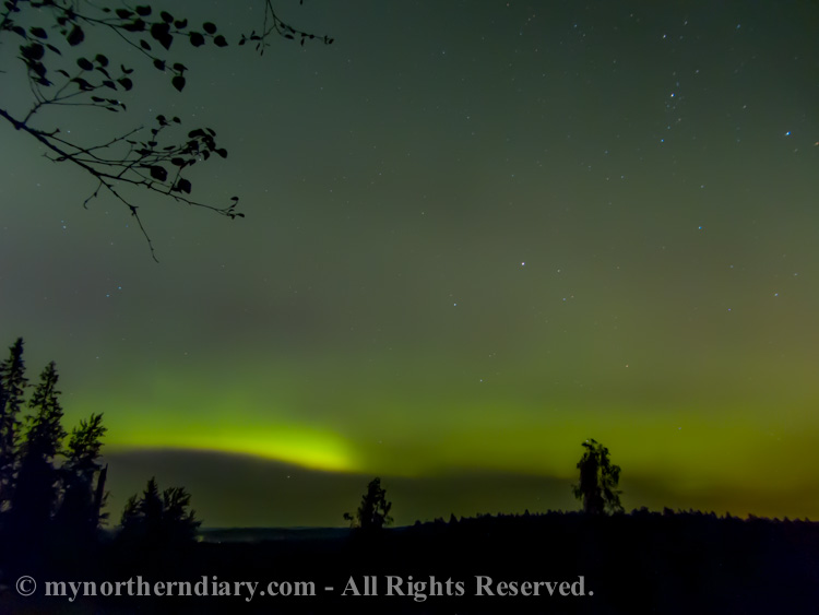 northern-lights-over-Finnish-forest-CRW_3615.jpg