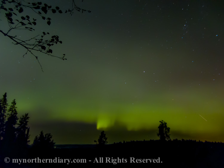 northern-lights-over-Finnish-forest-CRW_3617.jpg