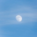 Spring moon in a blue sky CRW_2064.jpg