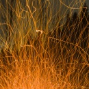 sparks of camp fire under lean-to CRW_1376.jpg