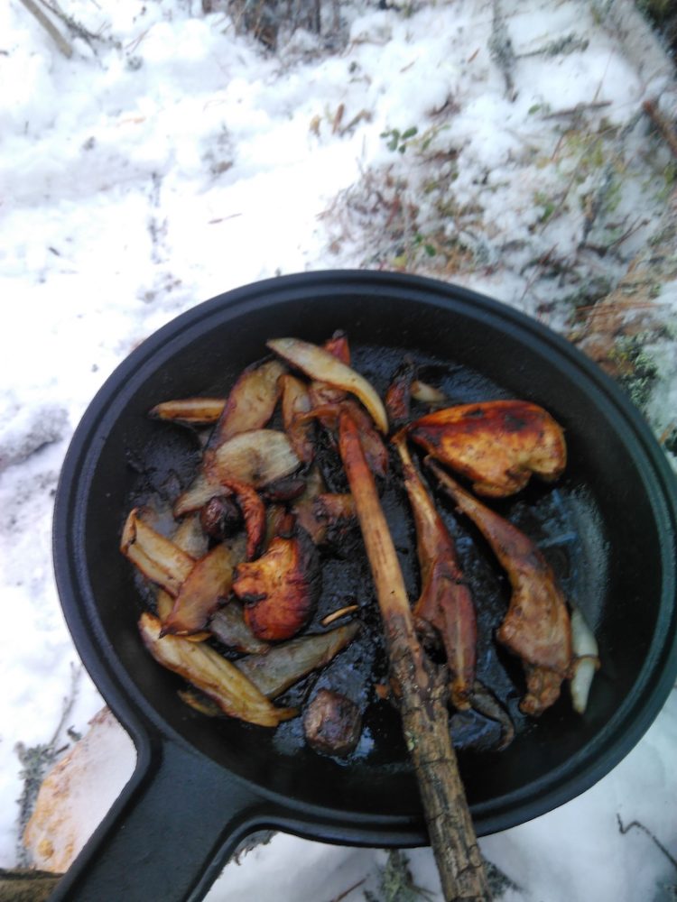 Cooking game birds at campfire in winter
